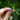 Purple gemstone earrings held by a hand with a blurred green background