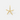 CP5325-LargeGoldPaveStarfishCharmPendant.png