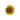 Sunflower Sparkle Charm - Think Goodness